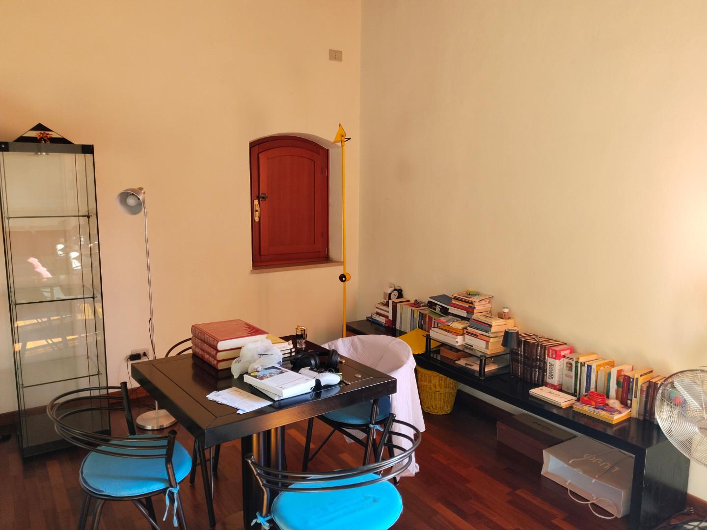 Loft arredato in affitto, Pisa corso italia