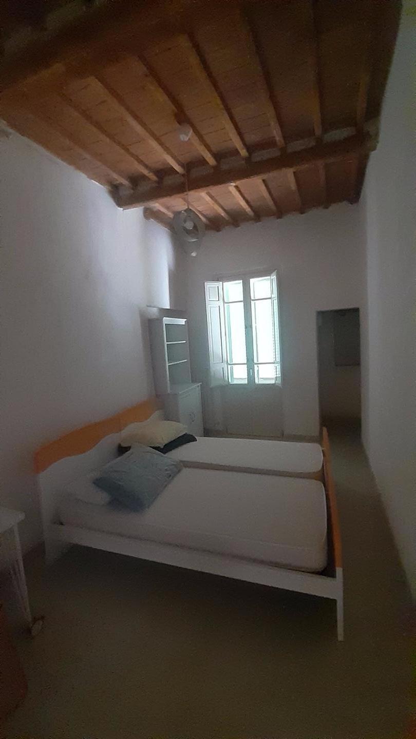 Quadrilocale arredato in affitto, Pisa san francesco