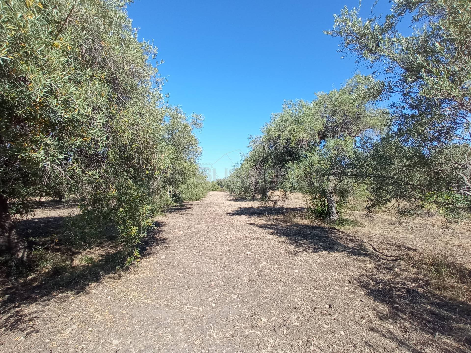 Terreno Agricolo in vendita a Siracusa, Tivoli