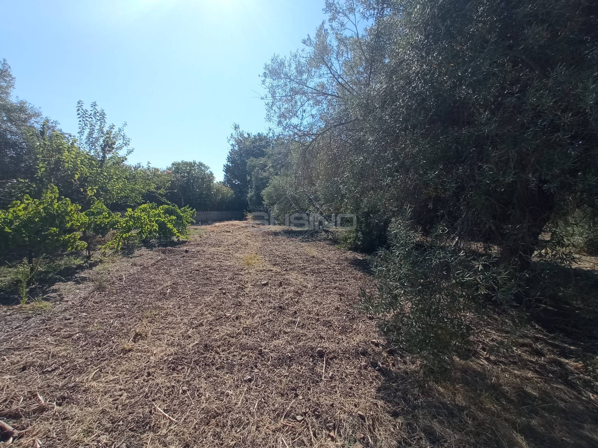 Terreno Agricolo in vendita a Siracusa, Tivoli