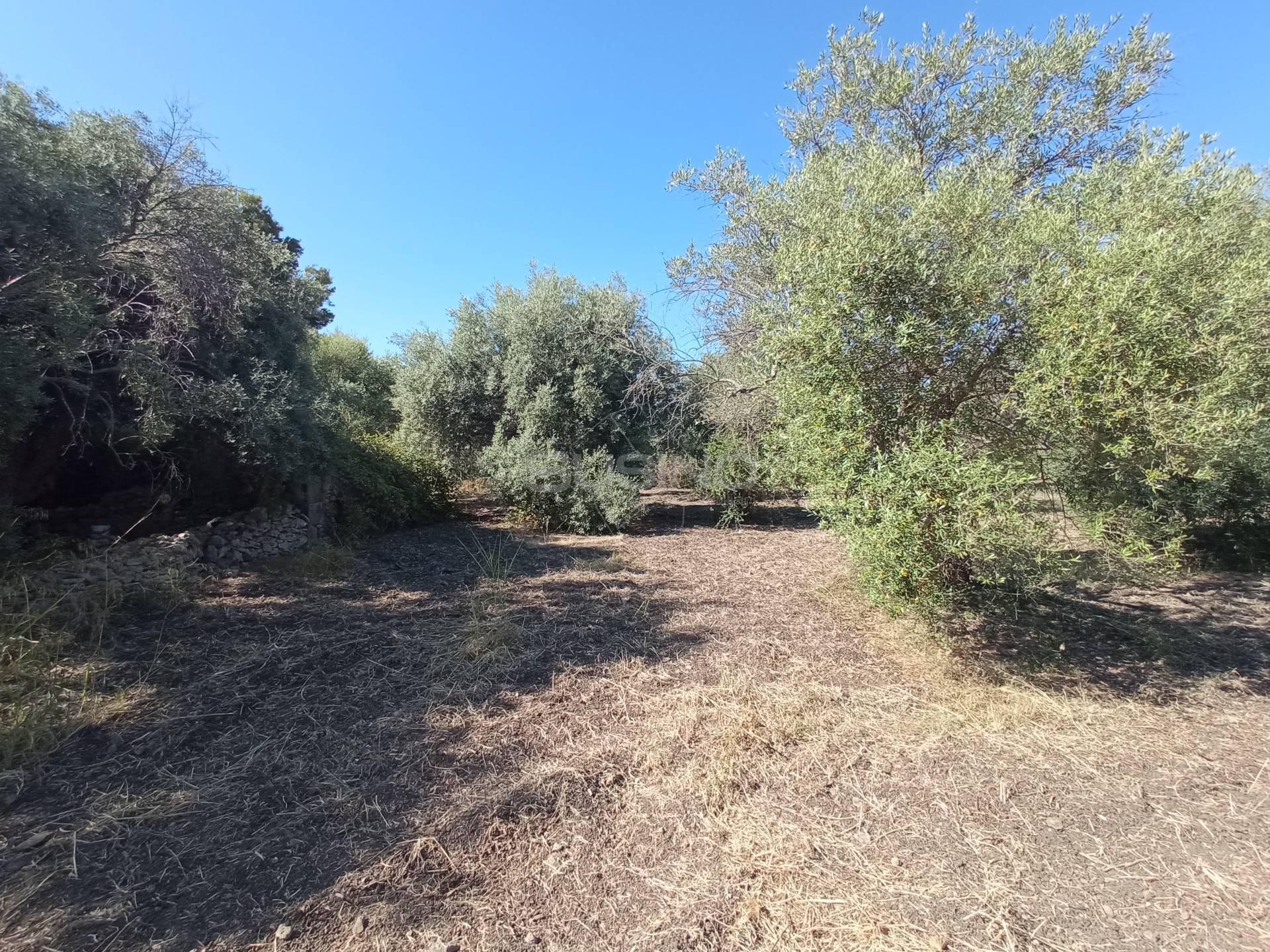 Terreno Agricolo in vendita a Siracusa, Tivoli