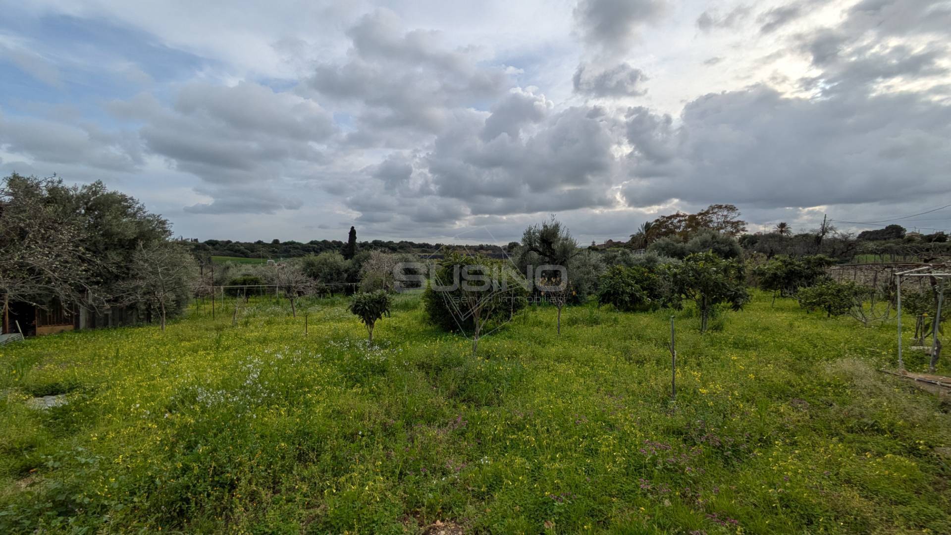 Terreno Agricolo in vendita a Floridia