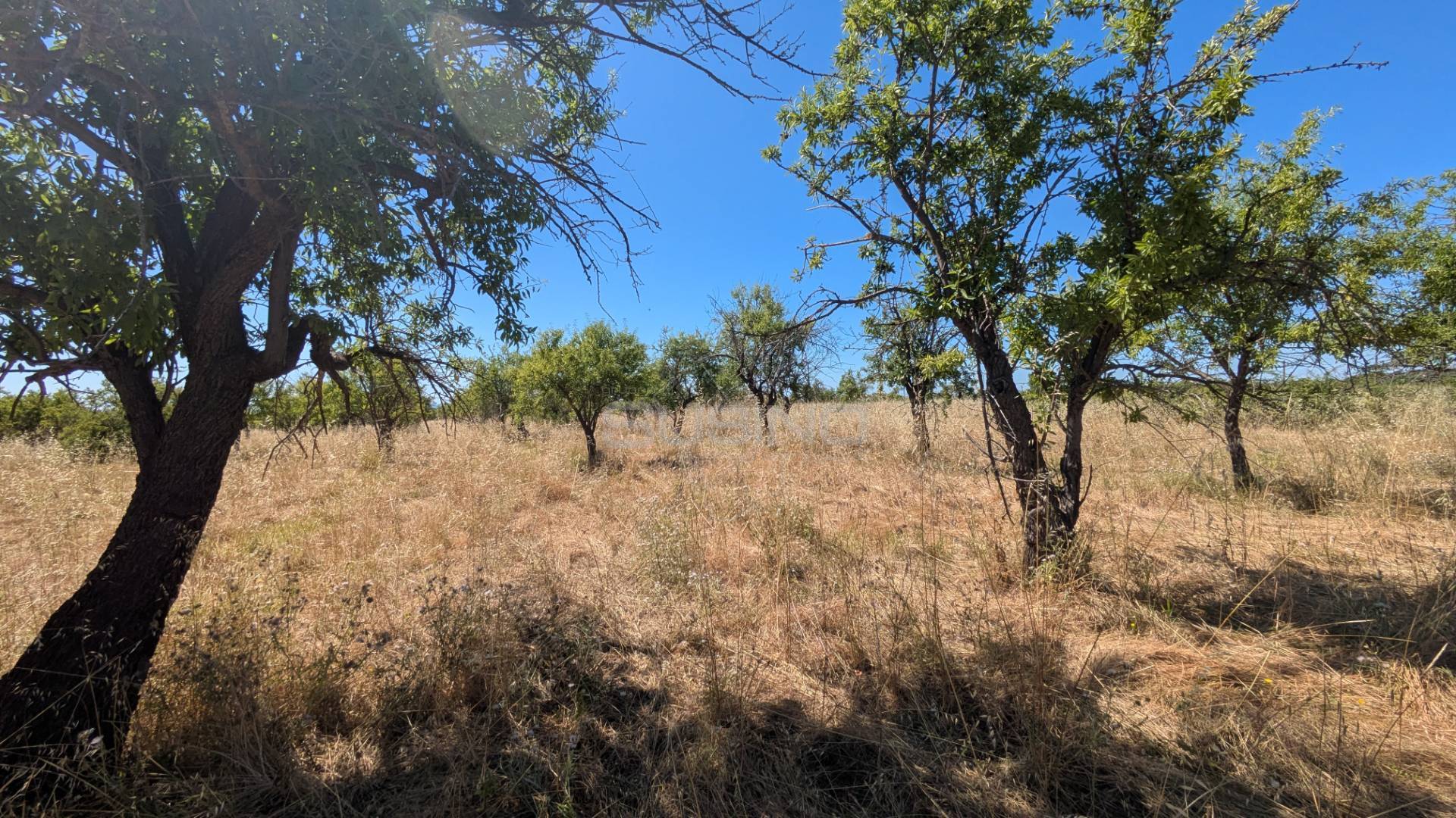 Terreno Agricolo in vendita a Avola