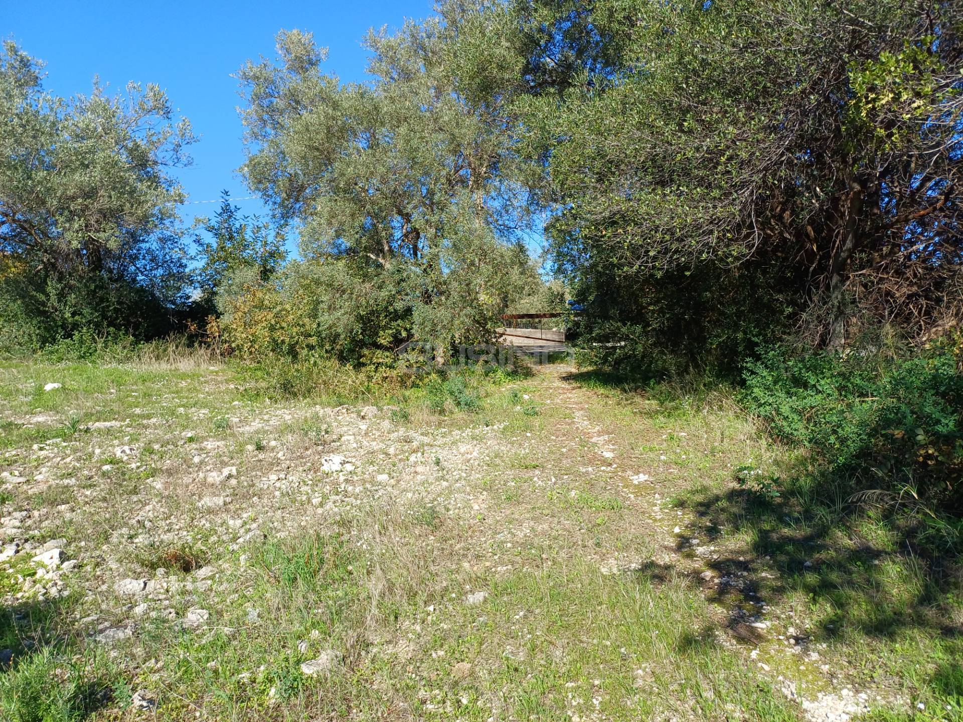 Terreno Agricolo in vendita a Canicattini Bagni
