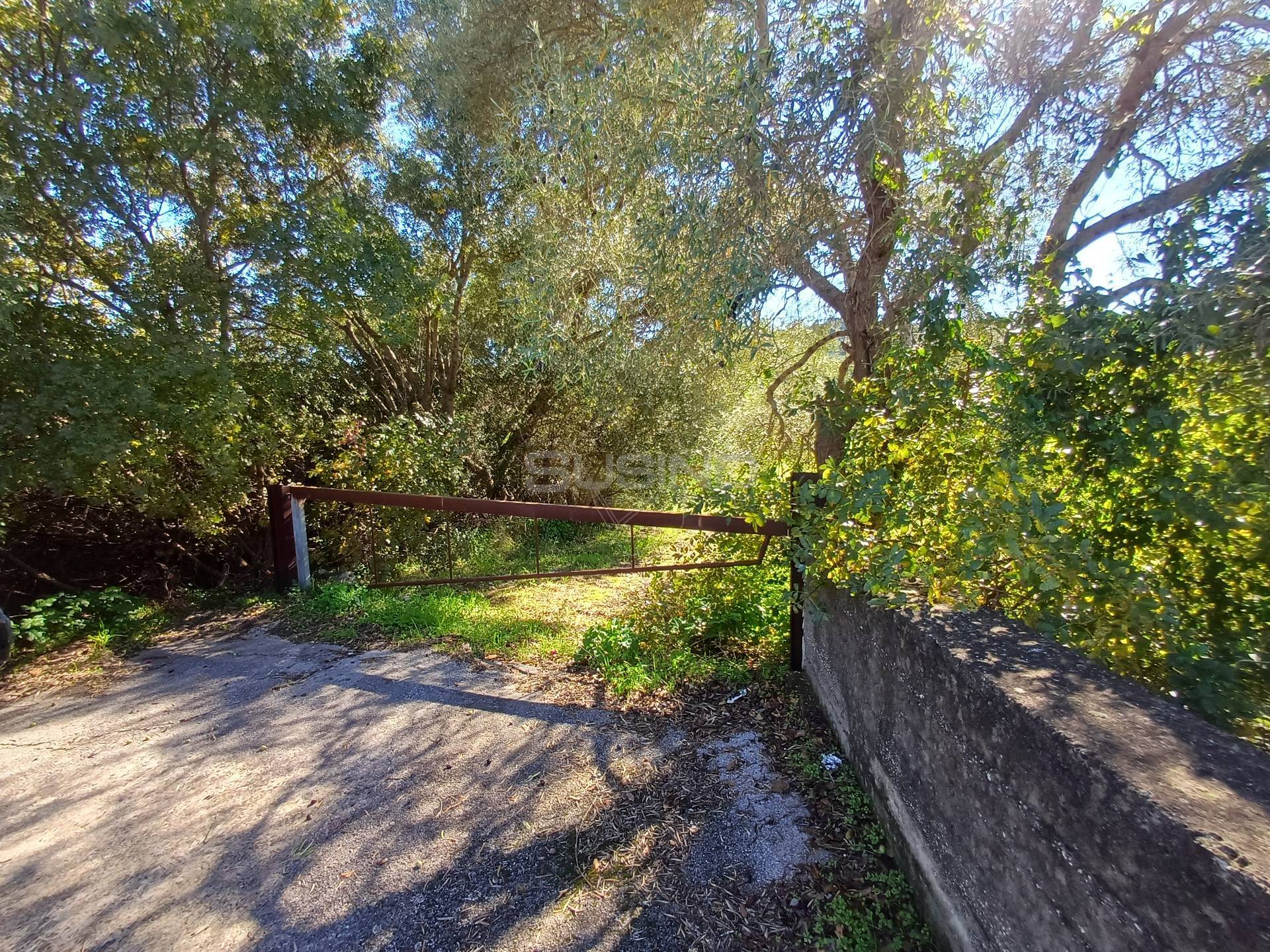 Terreno Agricolo in vendita a Canicattini Bagni