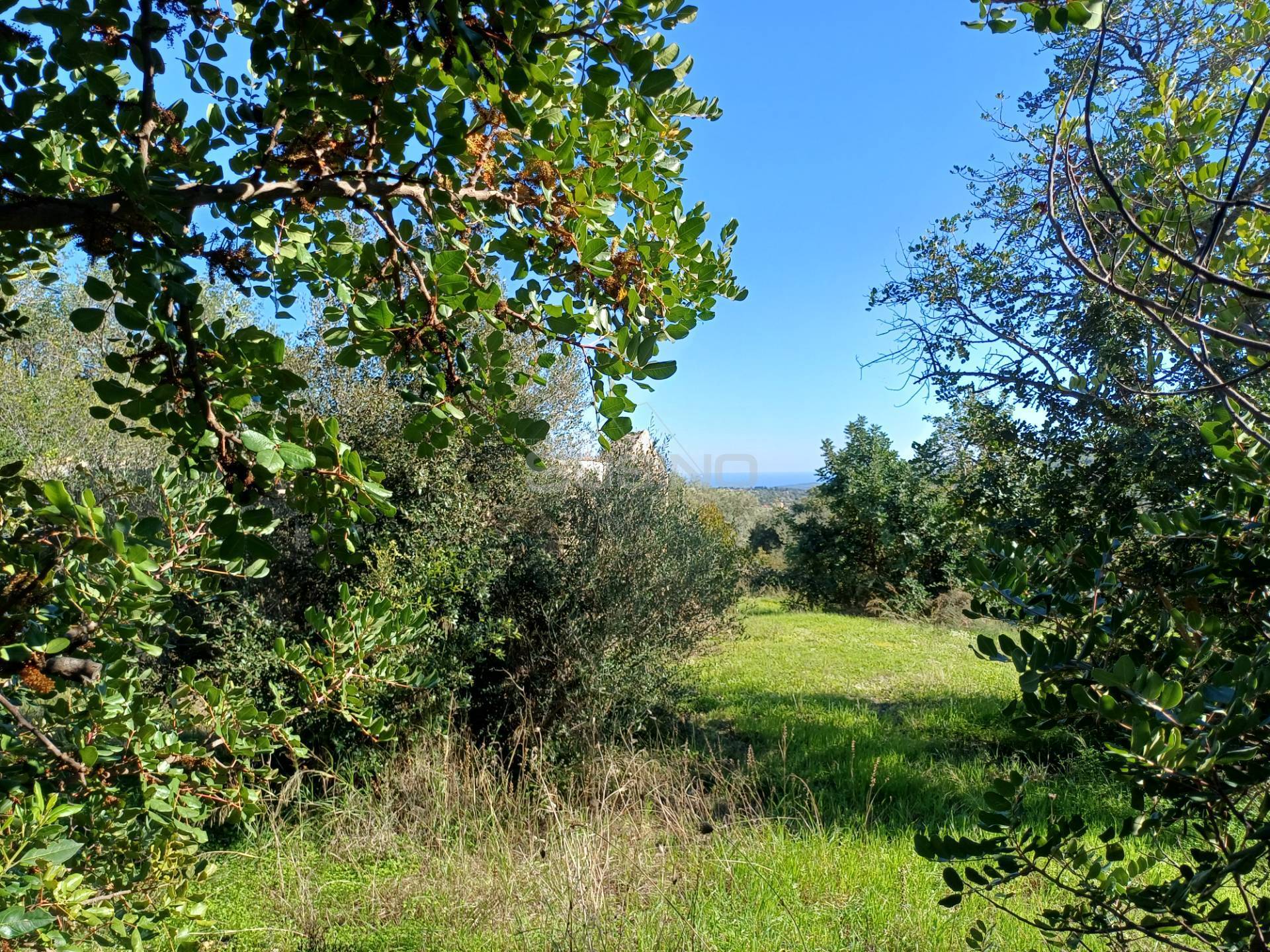 Terreno Agricolo in vendita a Canicattini Bagni