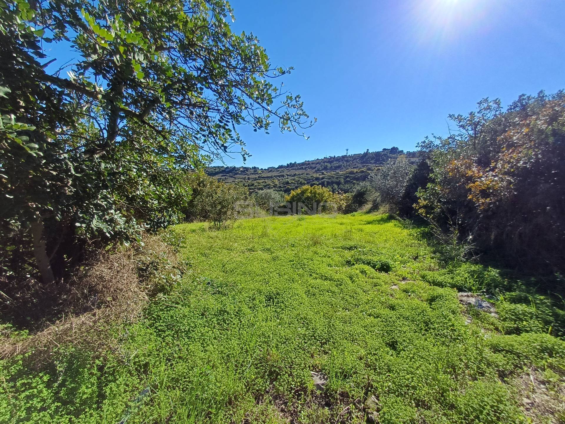 Terreno Agricolo in vendita a Canicattini Bagni