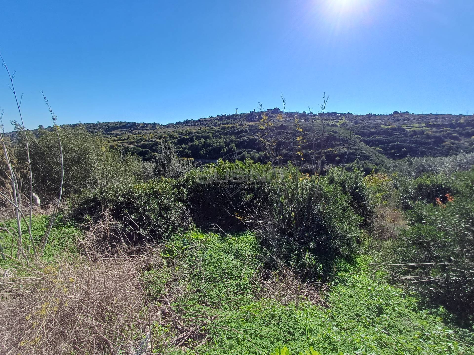 Terreno Agricolo in vendita a Canicattini Bagni