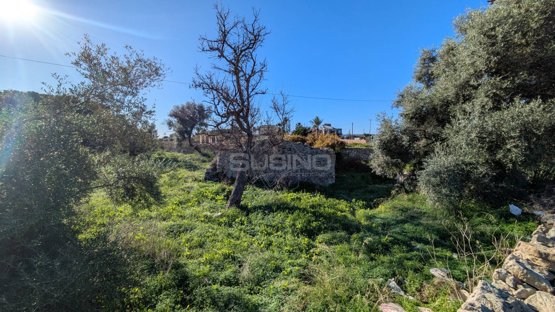 Terreno Agricolo in vendita a Siracusa, Tivoli