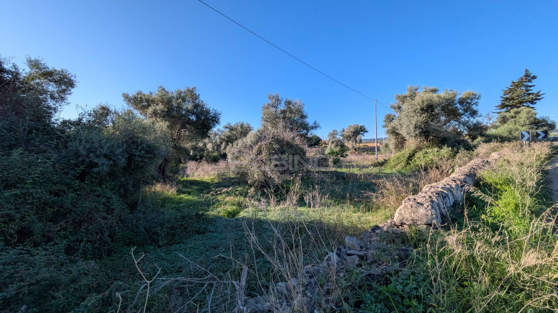 Terreno Agricolo in vendita a Siracusa, Tivoli