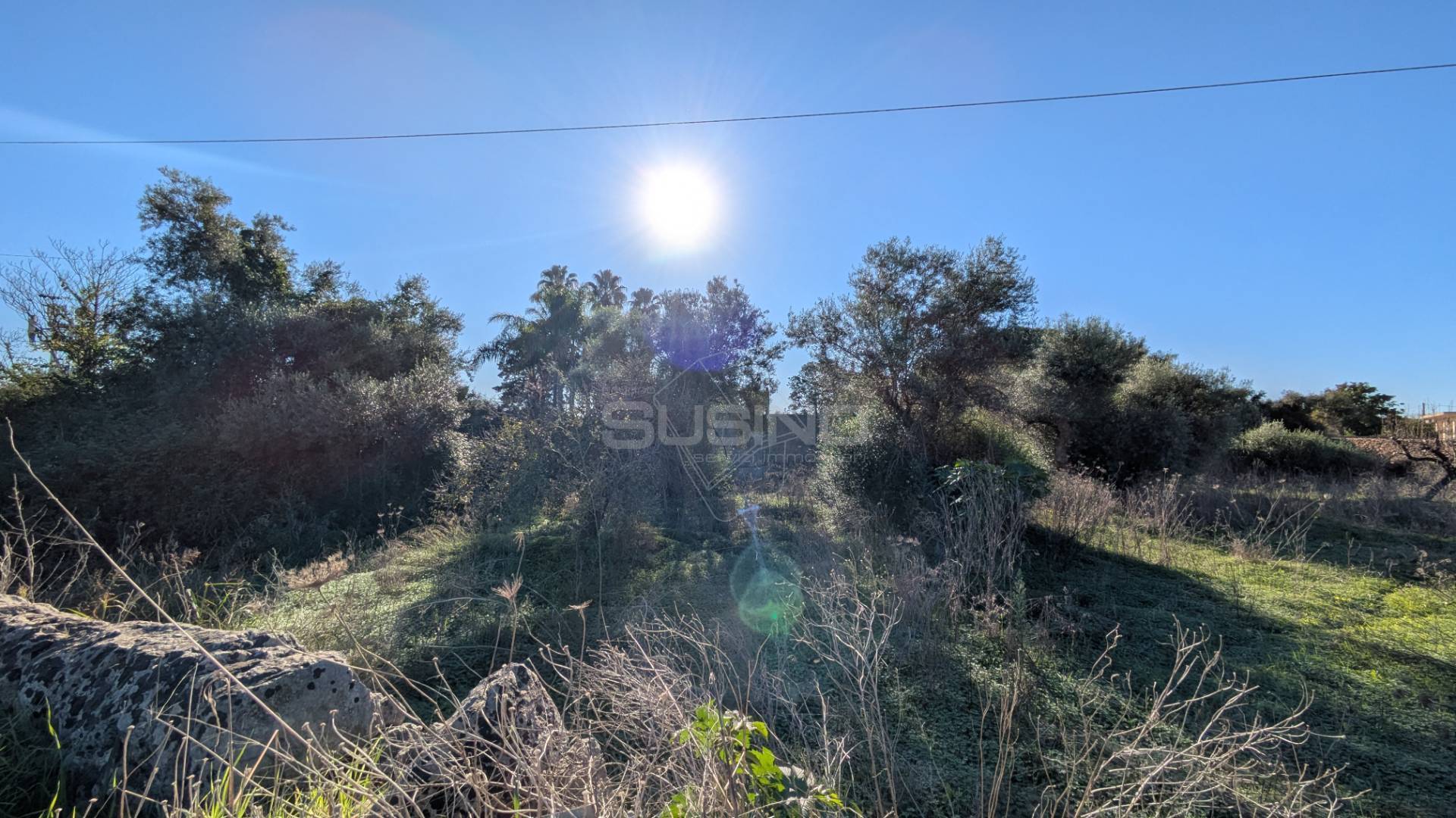 Terreno Agricolo in vendita a Siracusa, Tivoli