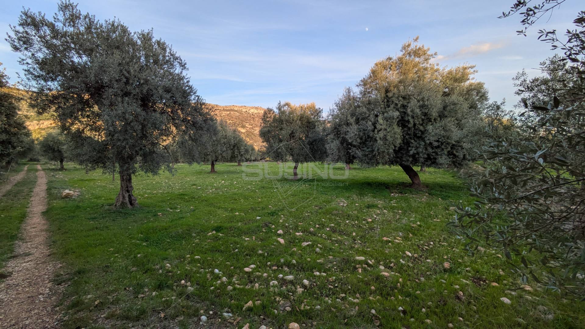 Terreno Agricolo in vendita a Solarino