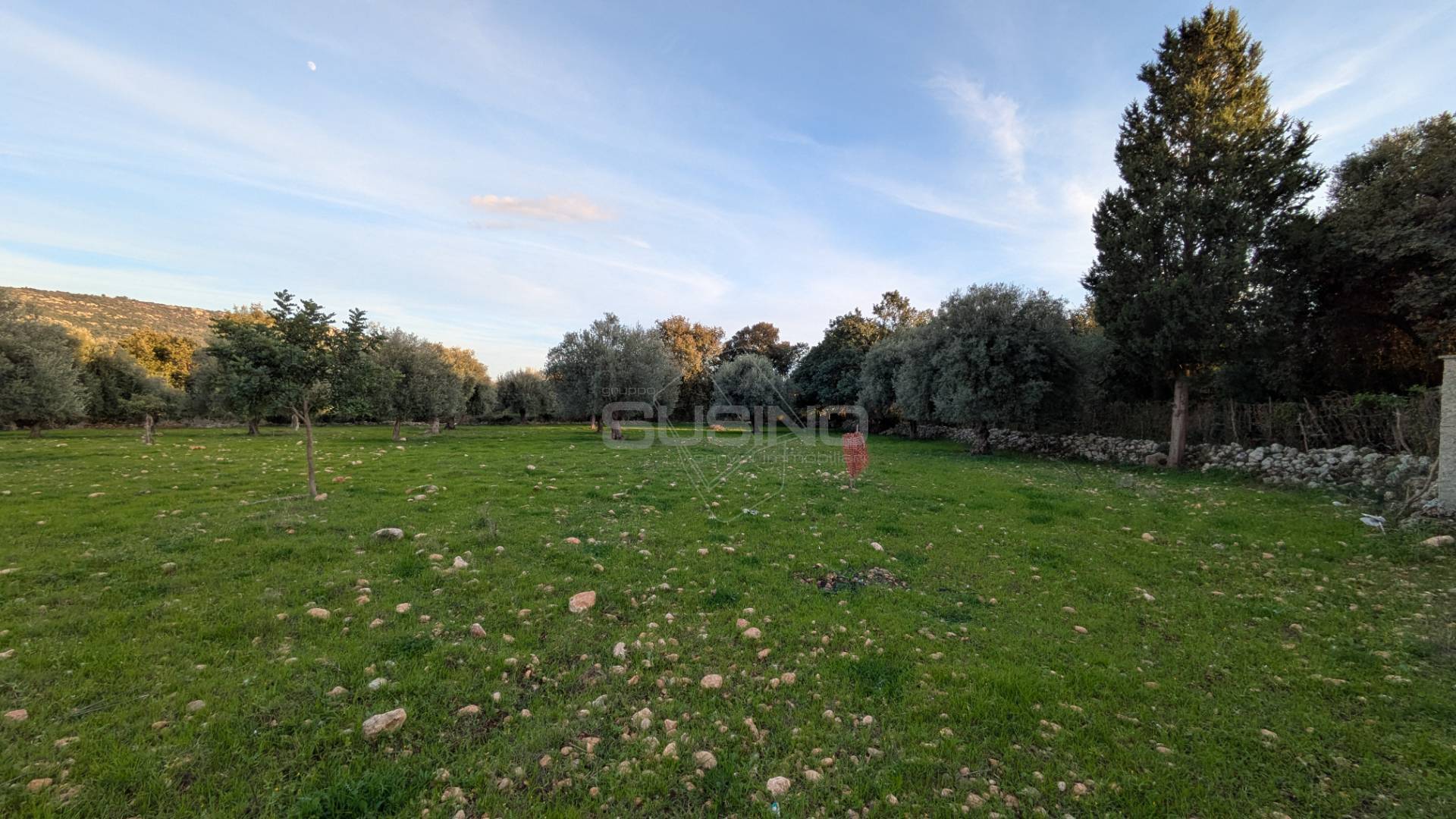 Terreno Agricolo in vendita a Solarino