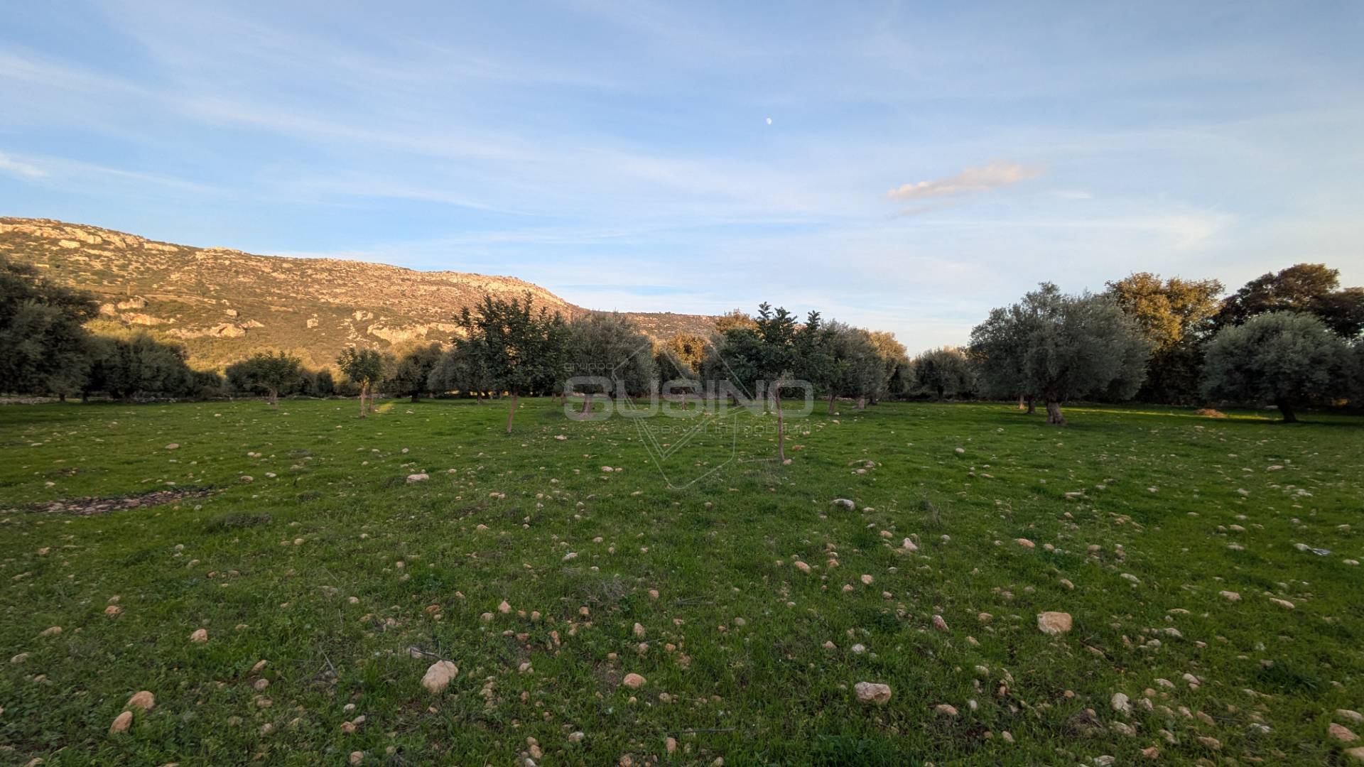 Terreno Agricolo in vendita a Solarino