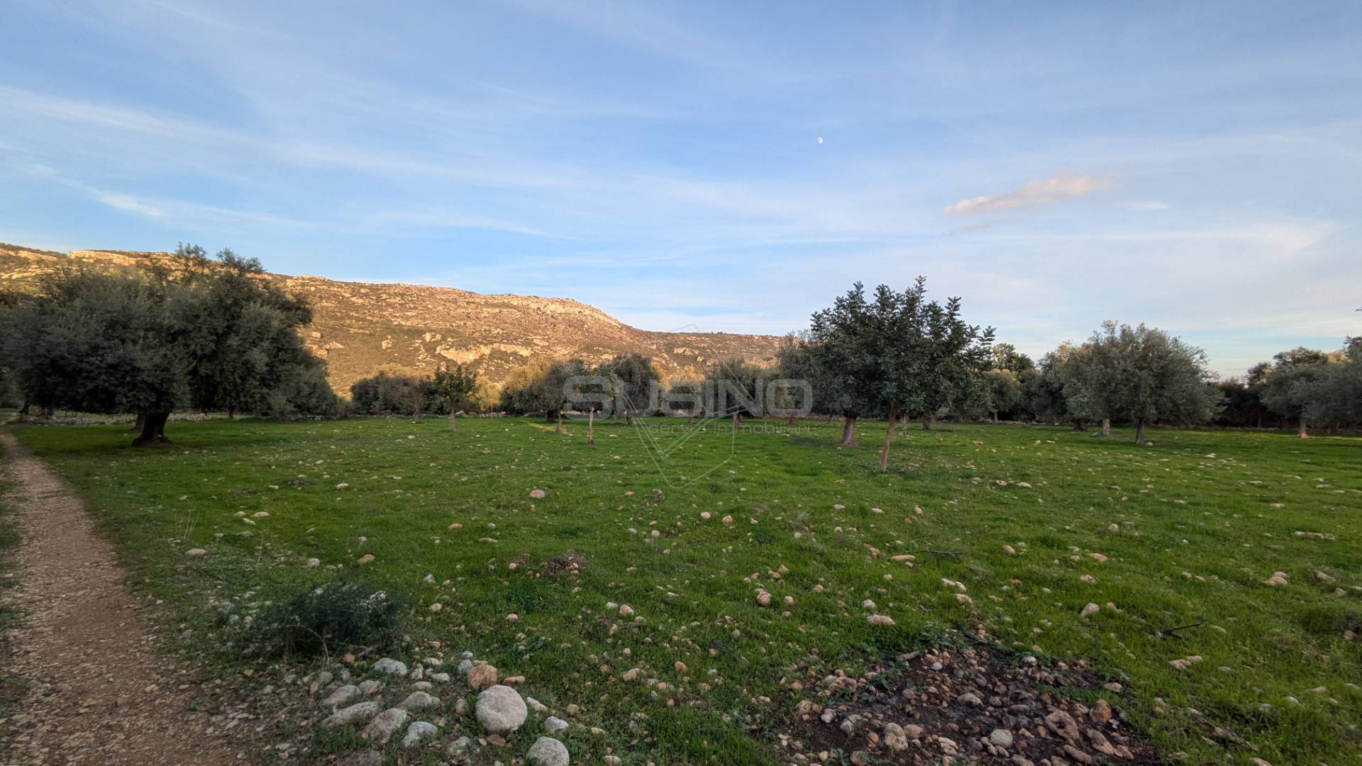 Terreno Agricolo in vendita a Solarino