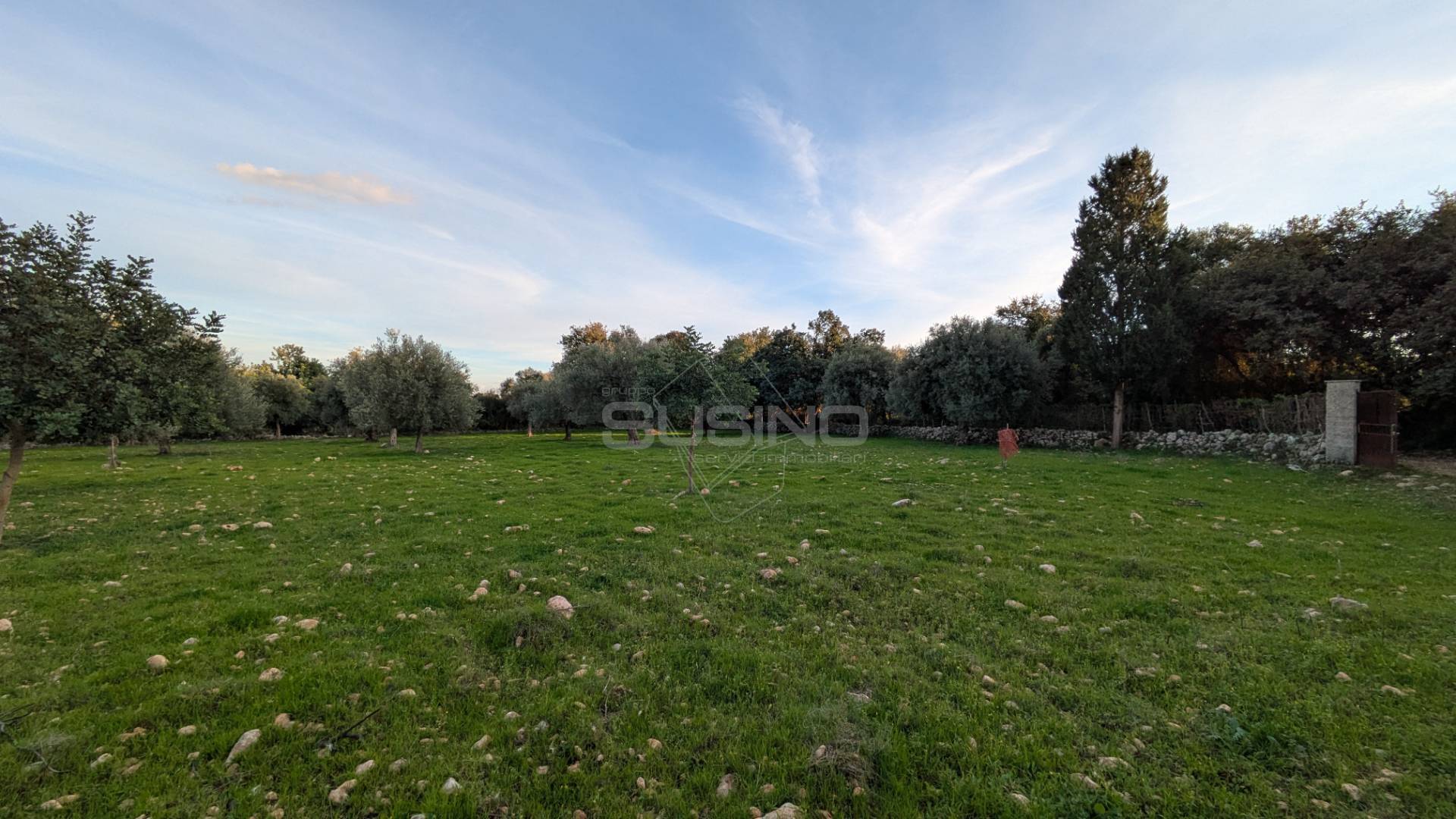 Terreno Agricolo in vendita a Solarino
