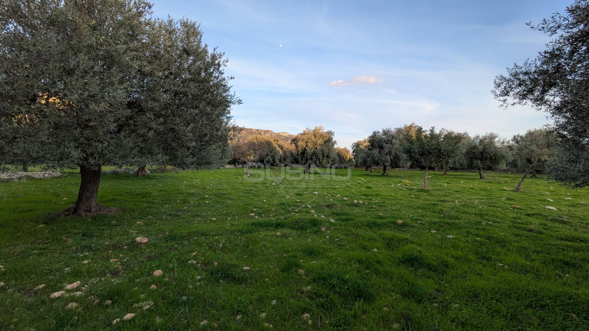 Terreno Agricolo in vendita a Solarino