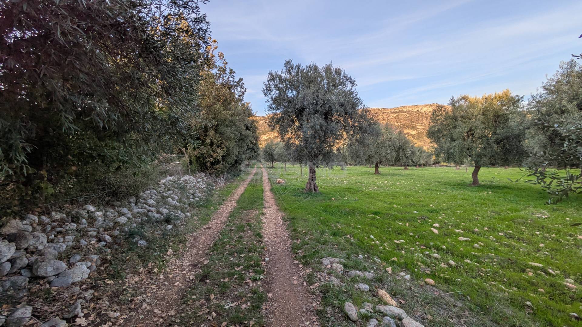 Terreno Agricolo in vendita a Solarino