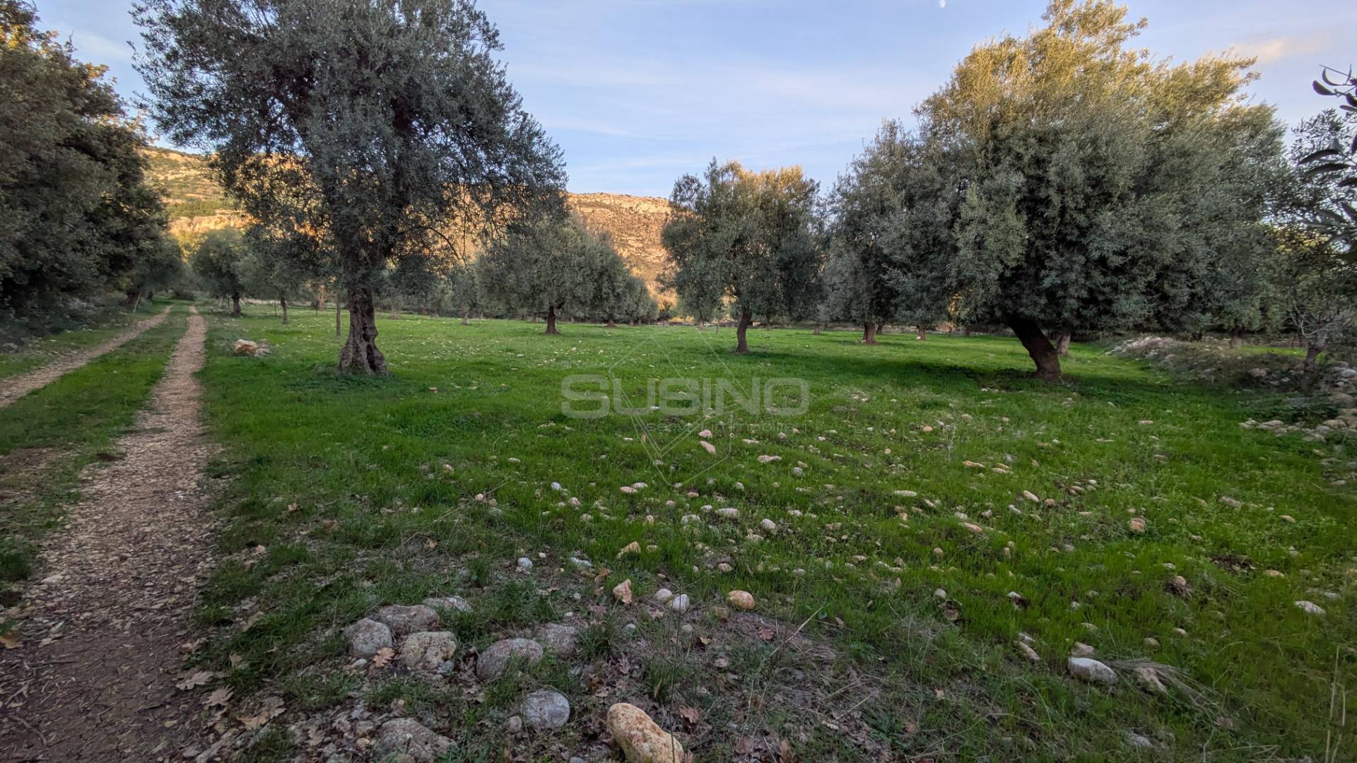Terreno Agricolo in vendita a Solarino