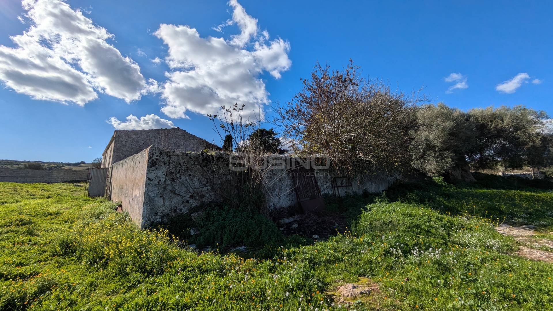Terreno Agricolo in vendita a Noto