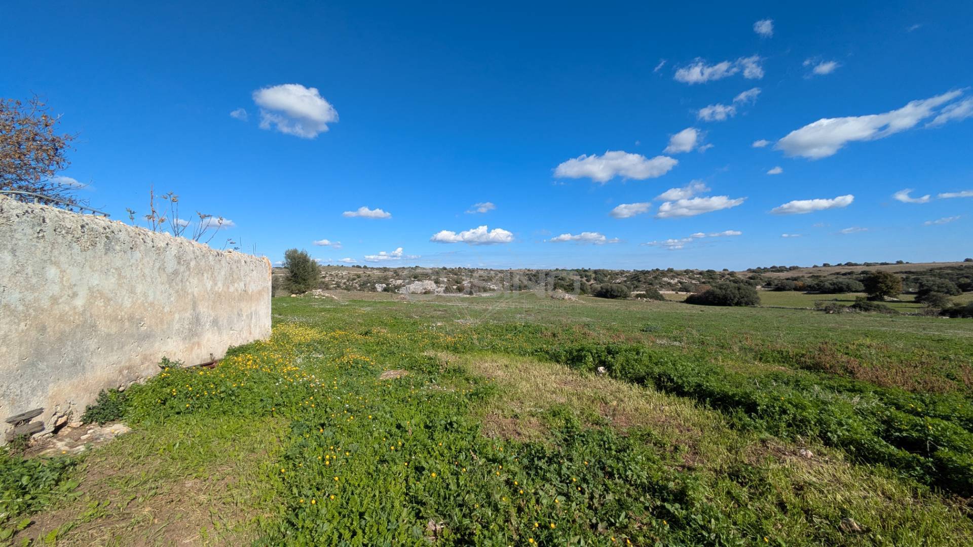 Terreno Agricolo in vendita a Noto