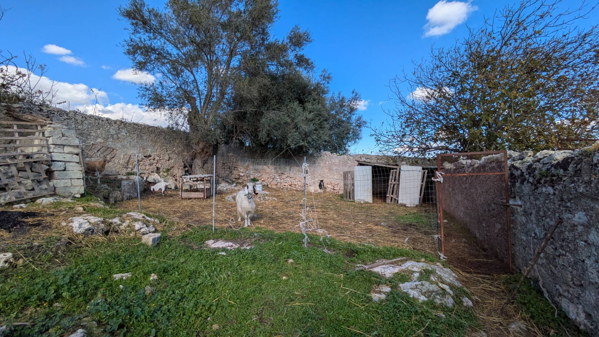 Terreno Agricolo in vendita a Noto