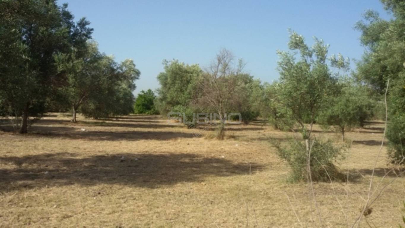 Terreno Agricolo in vendita a Siracusa
