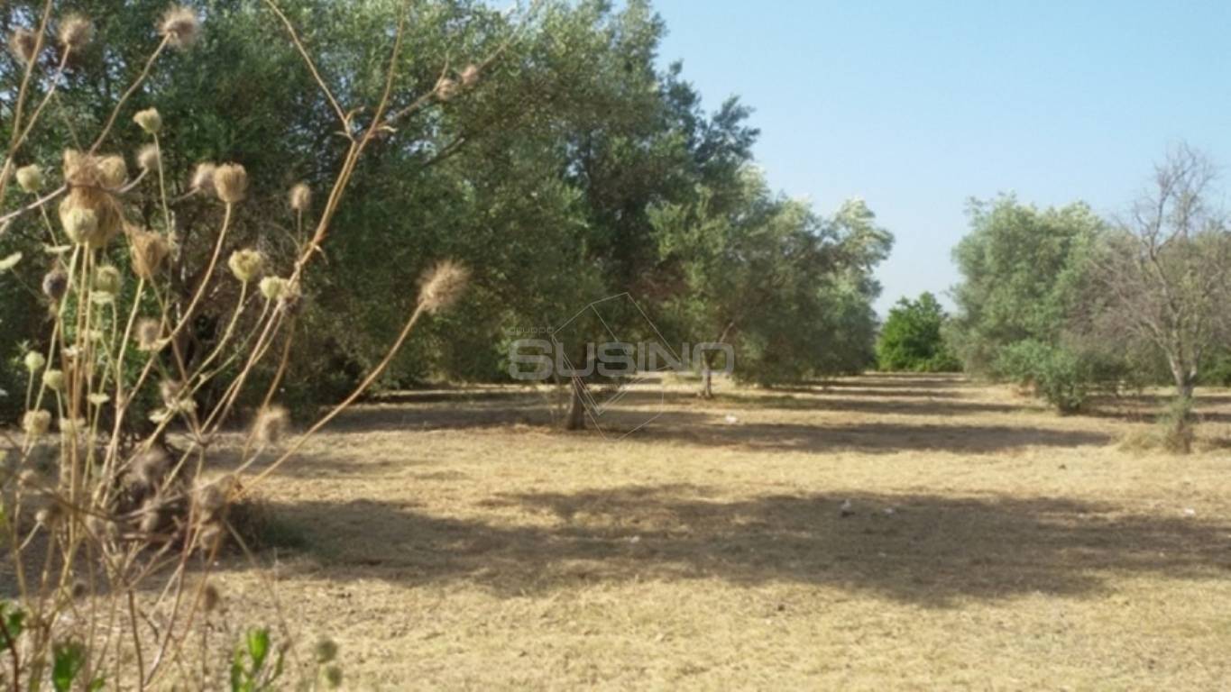 Terreno Agricolo in vendita a Siracusa