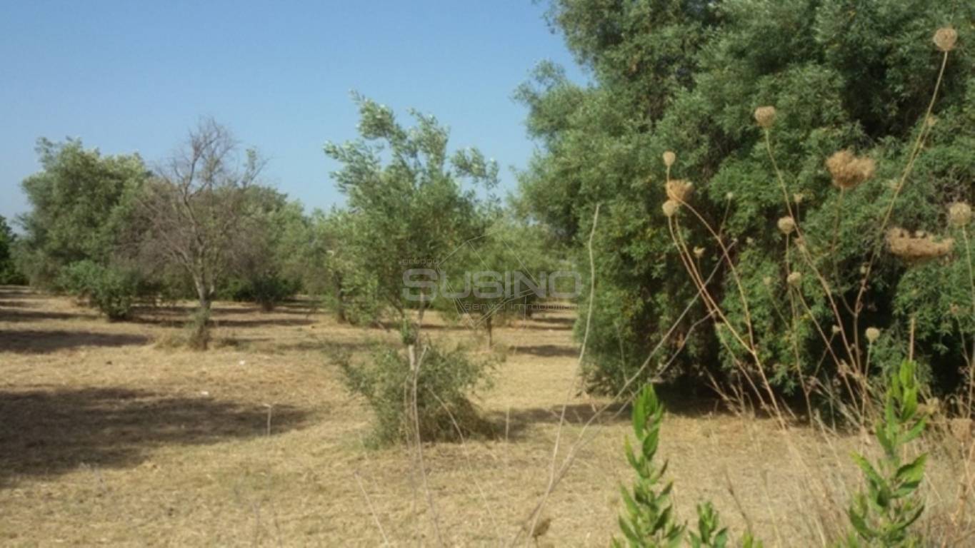 Terreno Agricolo in vendita a Siracusa