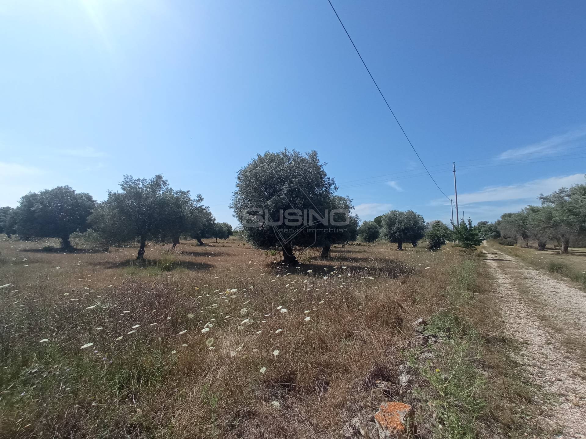 Terreno Agricolo in vendita a Siracusa, Tivoli