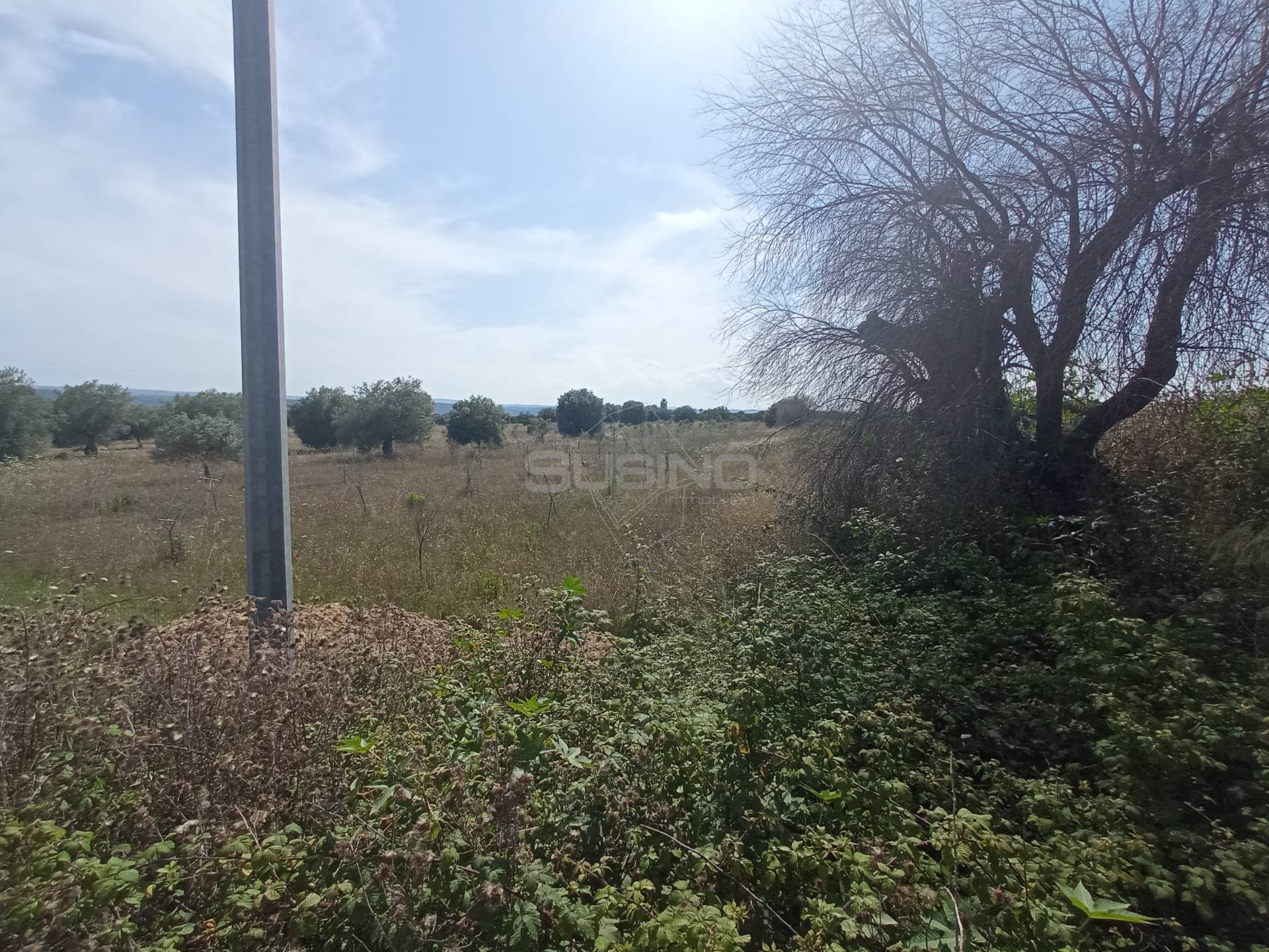 Terreno Agricolo in vendita a Siracusa, Tivoli