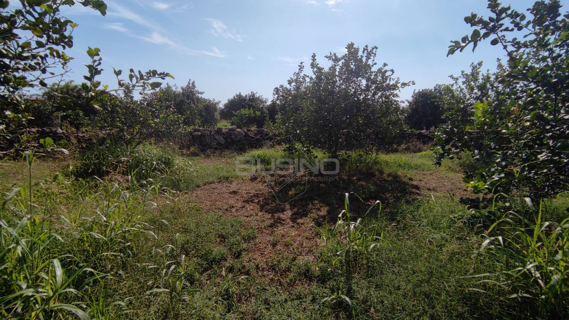 Terreno Agricolo in vendita a Floridia, Finaidi