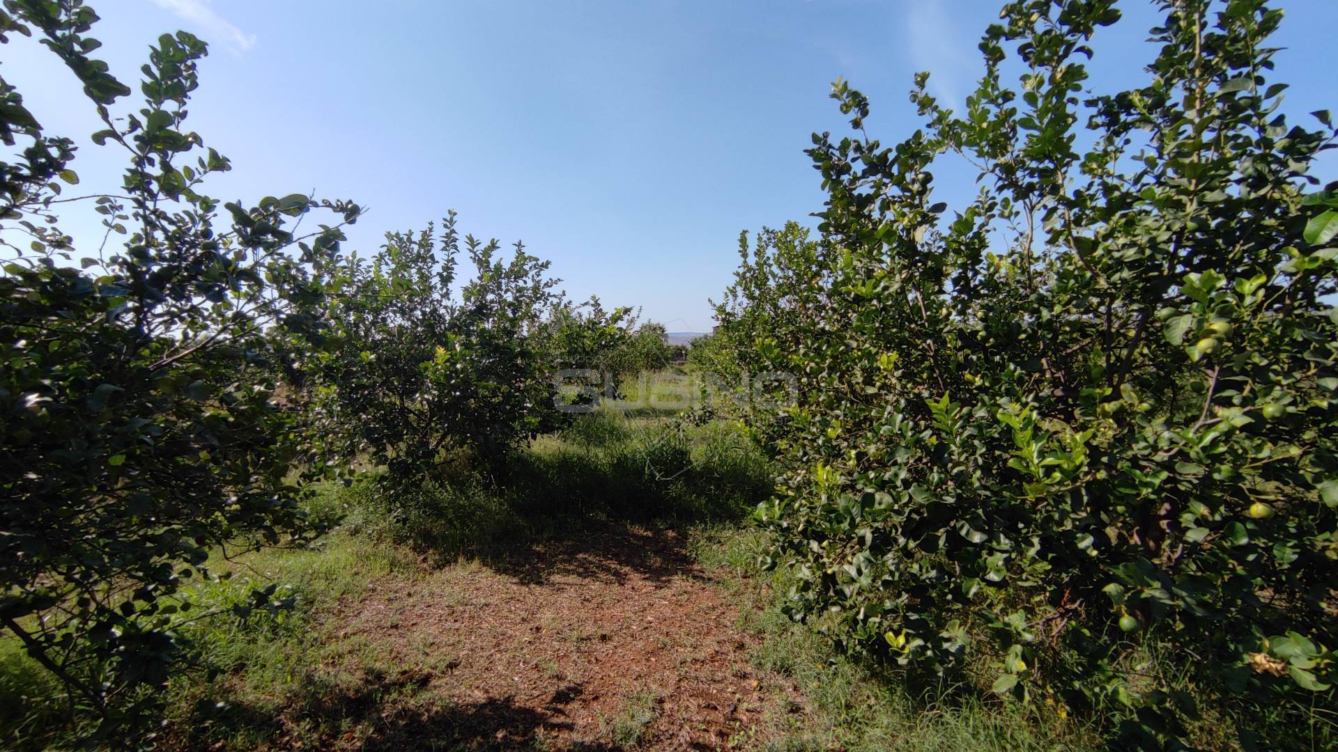 Terreno Agricolo in vendita a Floridia, Finaidi