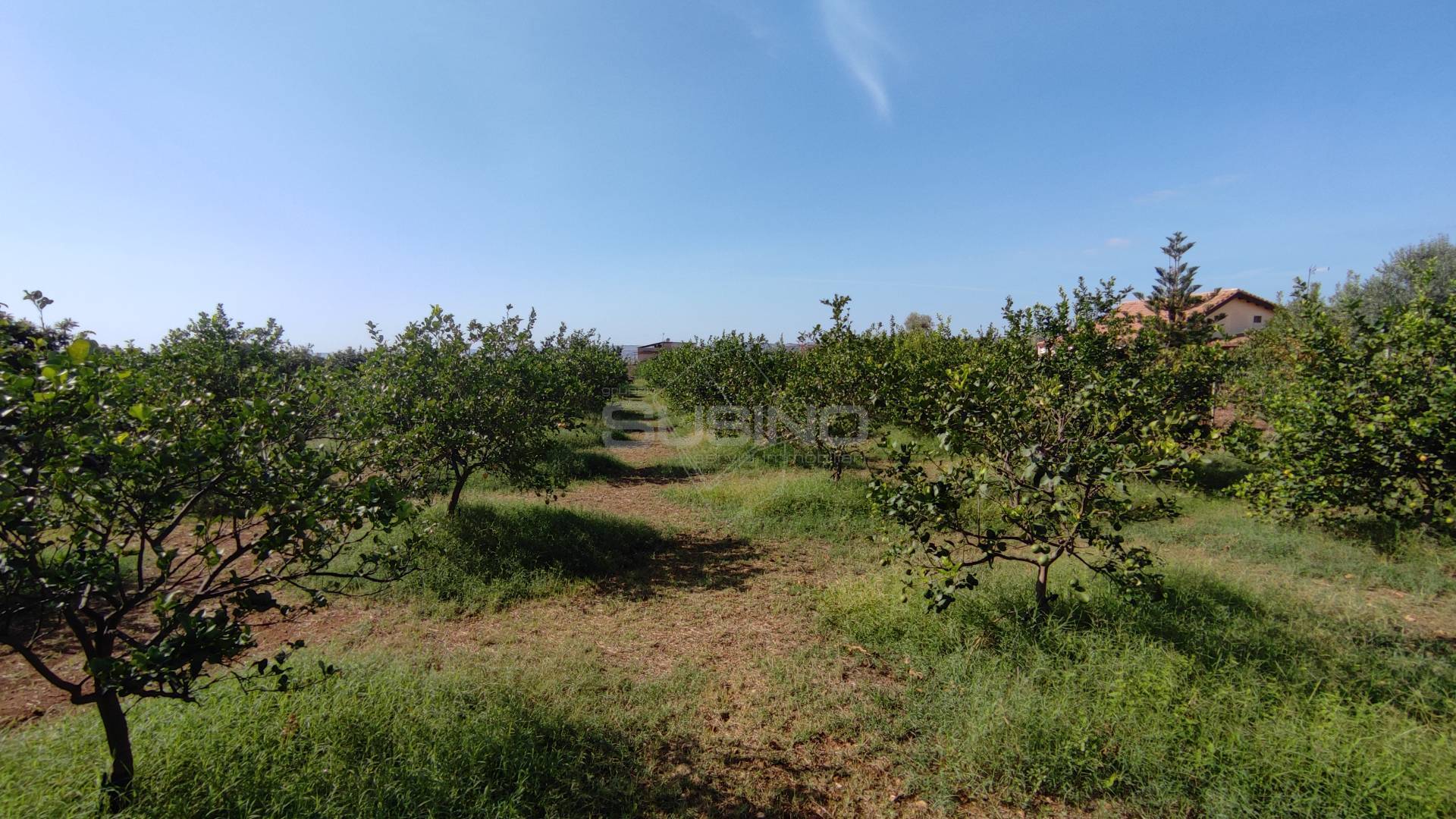 Terreno Agricolo in vendita a Floridia, Finaidi