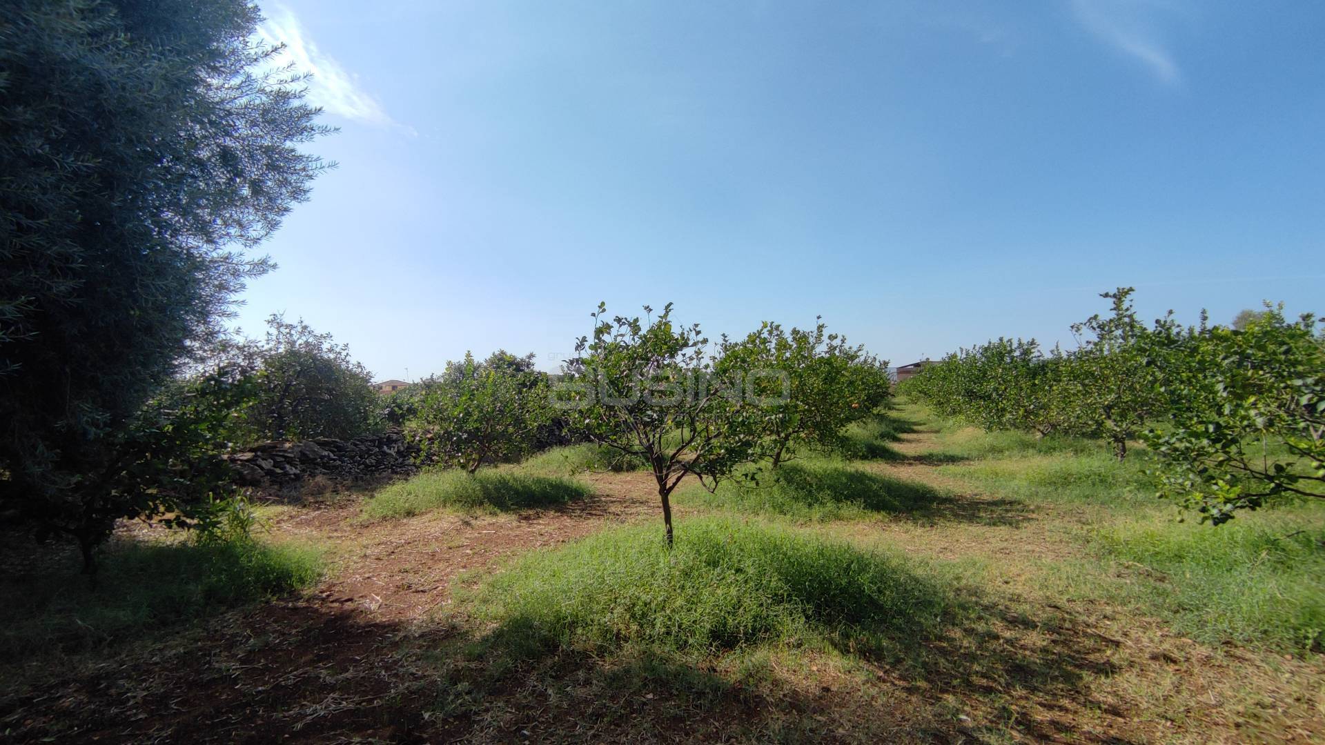 Terreno Agricolo in vendita a Floridia, Finaidi