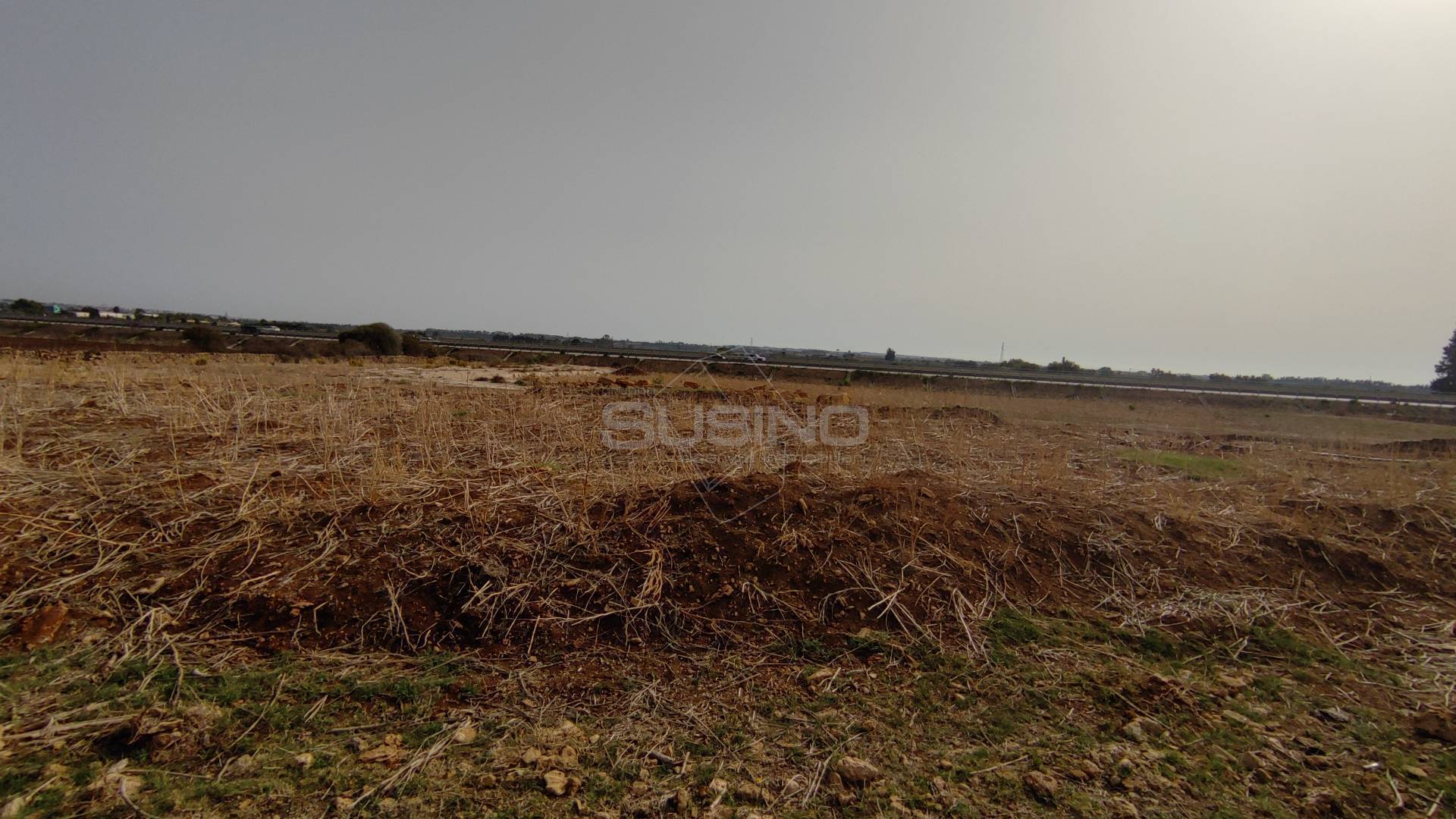 Terreno Agricolo in vendita a Siracusa