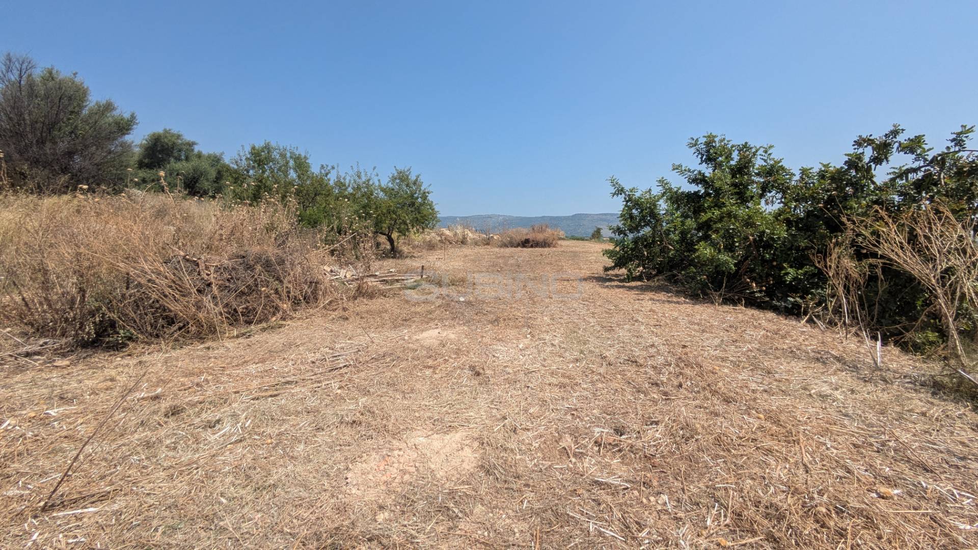 Terreno Agricolo in vendita a Floridia, Cugno di Canne