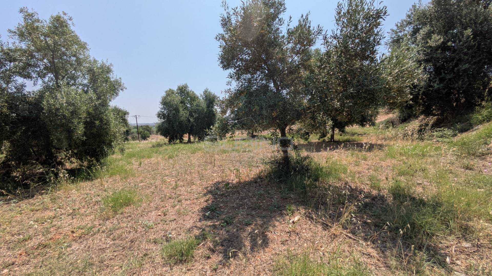 Terreno Agricolo in vendita a Floridia, Cugno di Canne