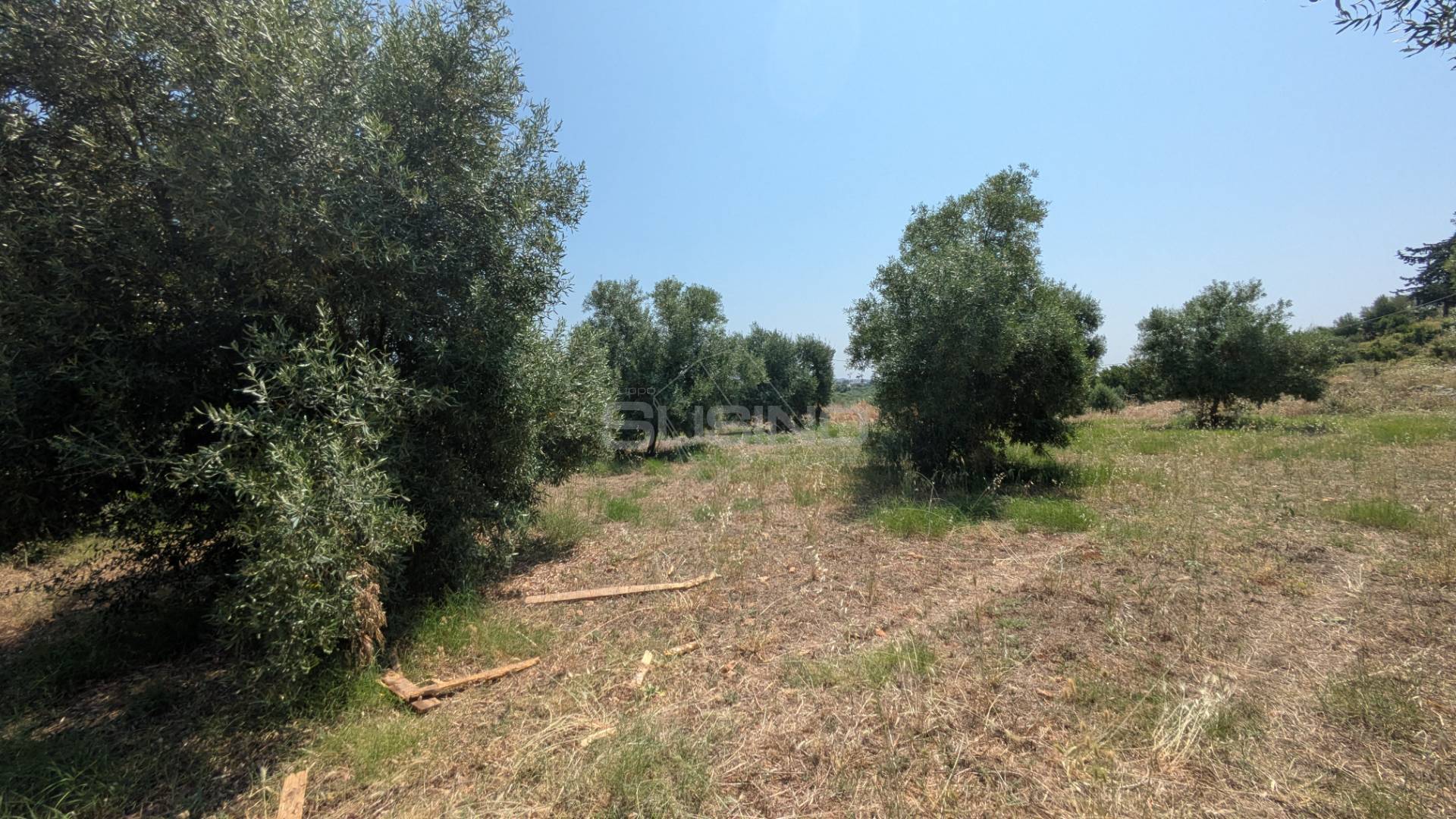 Terreno Agricolo in vendita a Floridia, Cugno di Canne