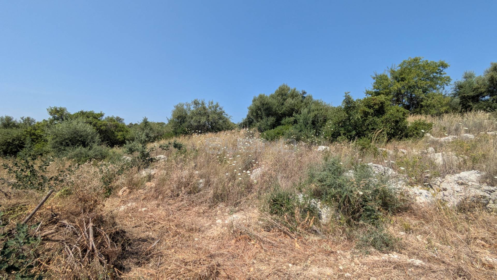Terreno Agricolo in vendita a Floridia, Cugno di Canne