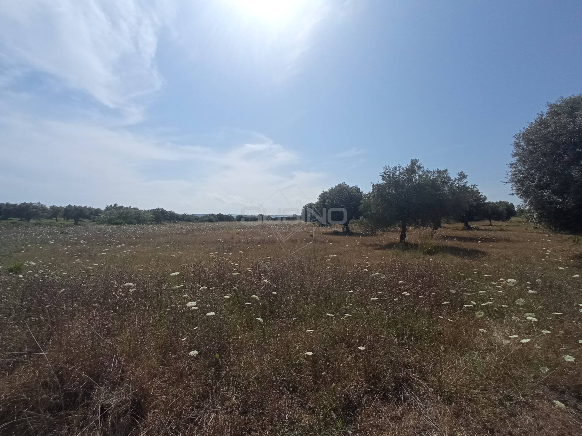 Terreno Agricolo in vendita a Siracusa, Tivoli