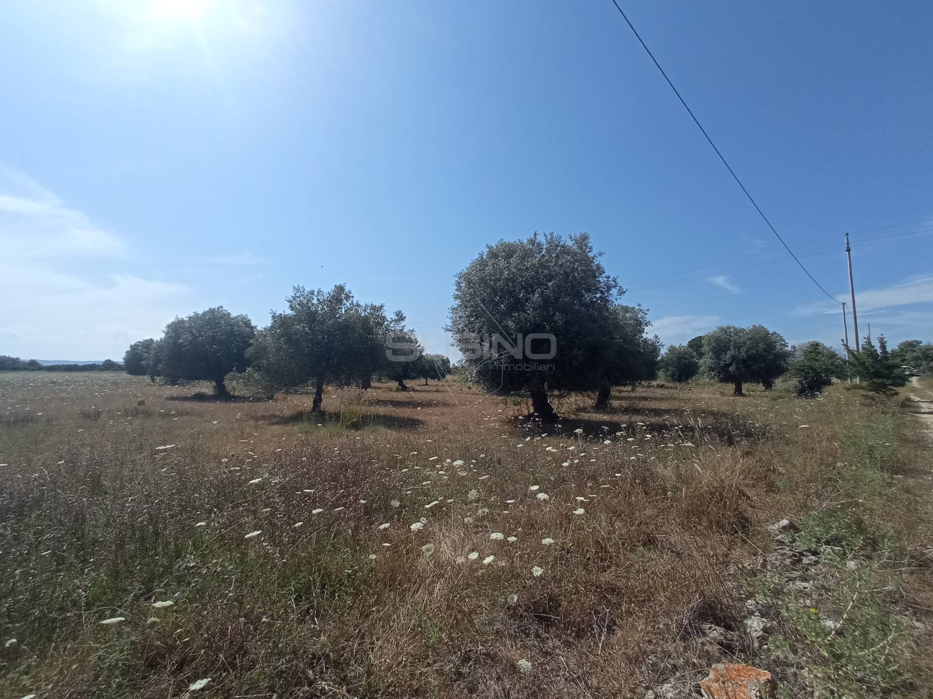 Terreno Agricolo in vendita a Siracusa, Tivoli