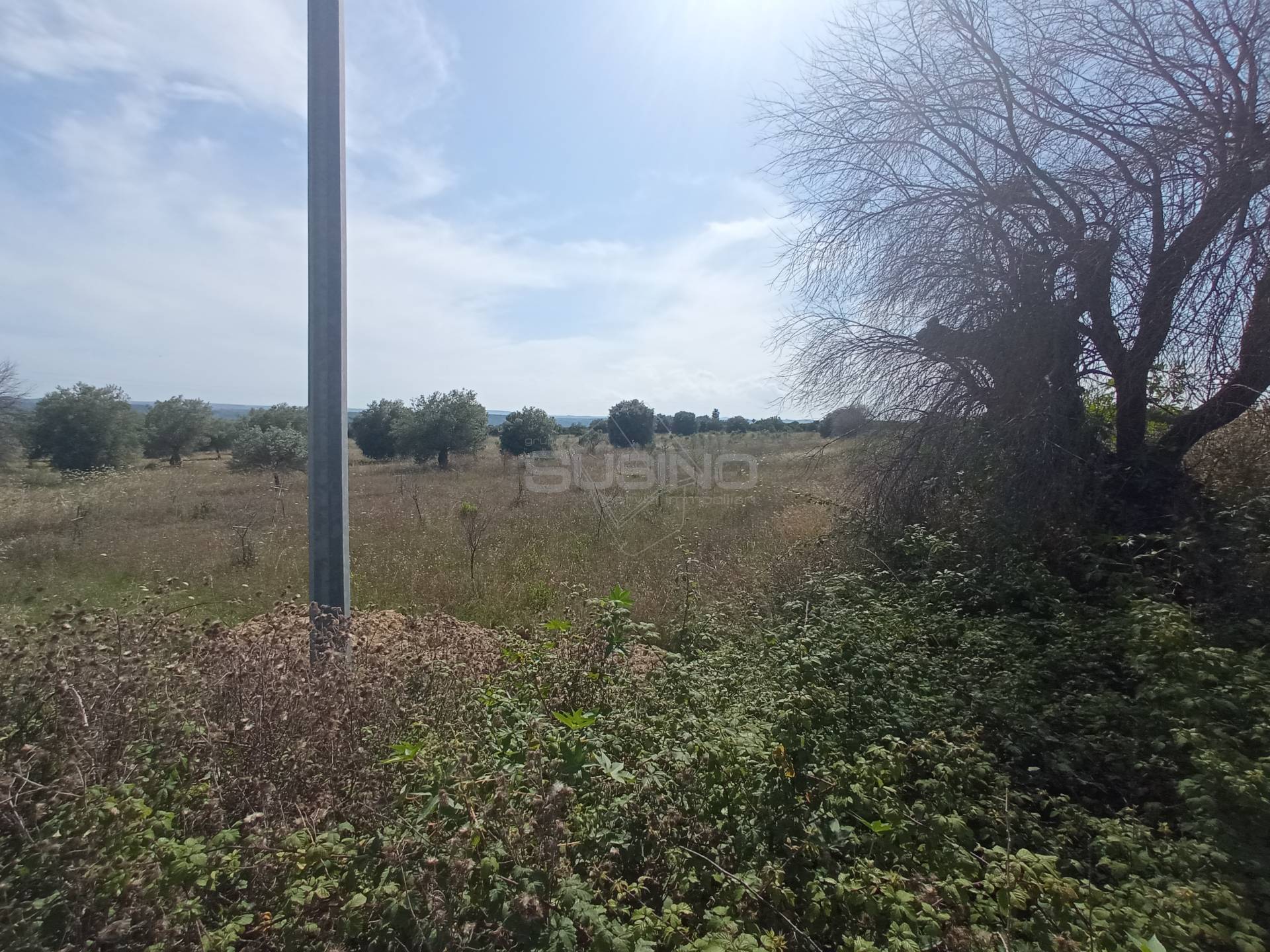 Terreno Agricolo in vendita a Siracusa, Tivoli