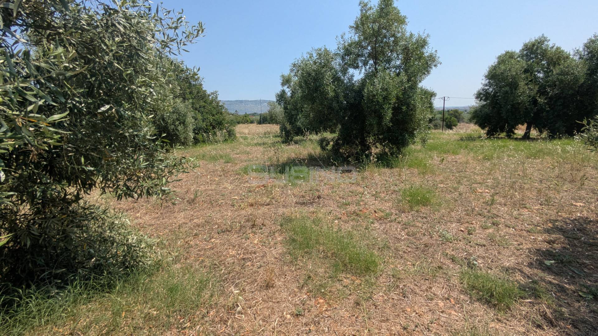 Terreno Agricolo in vendita a Floridia, Cugno di Canne