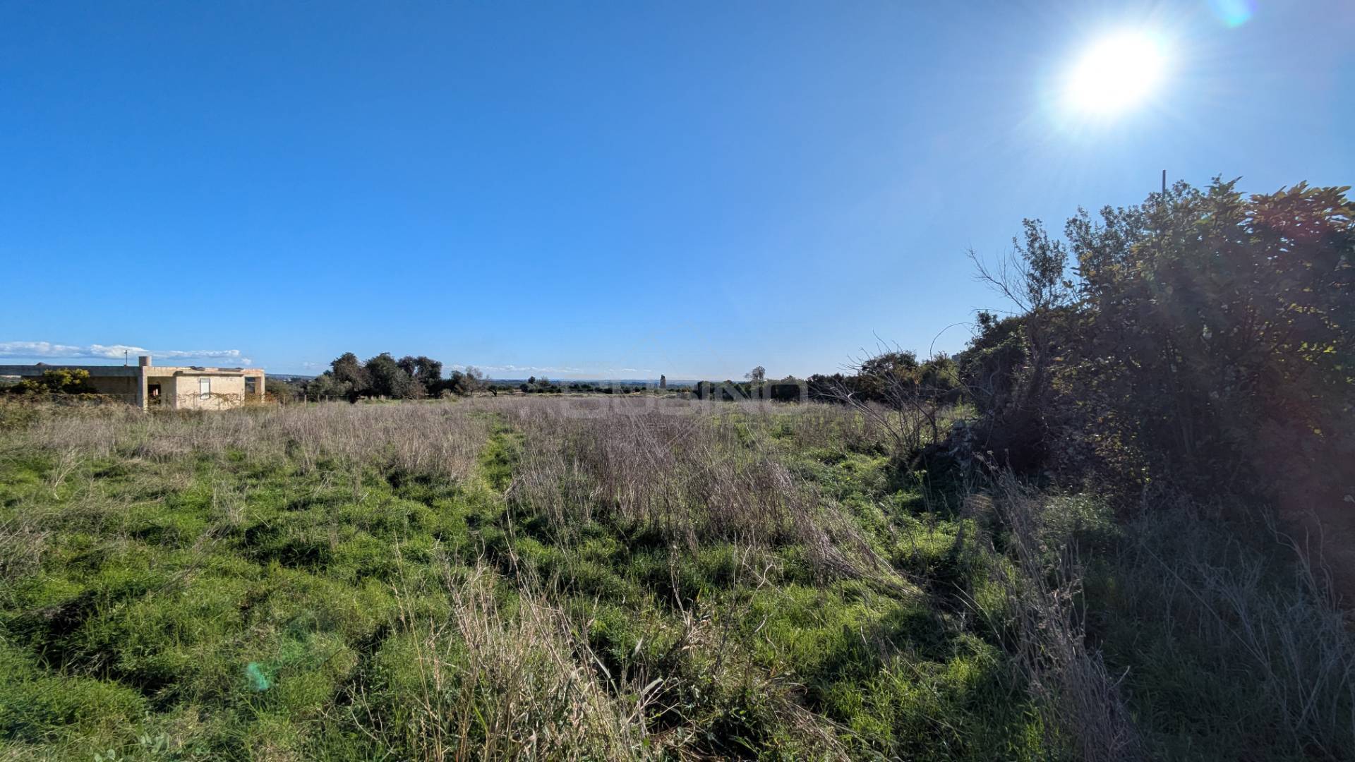 Terreno Agricolo in vendita a Siracusa