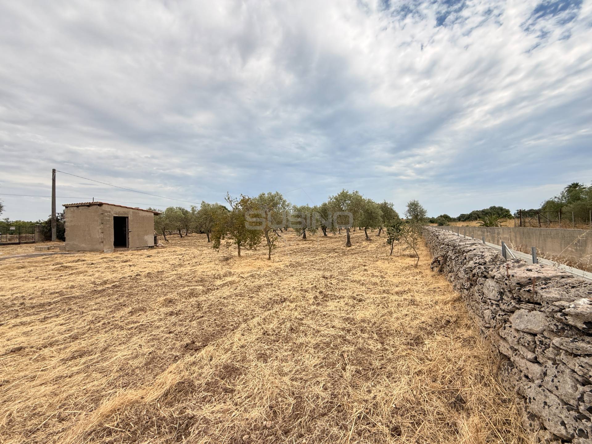 Terreno Agricolo in vendita a Siracusa, Elorina