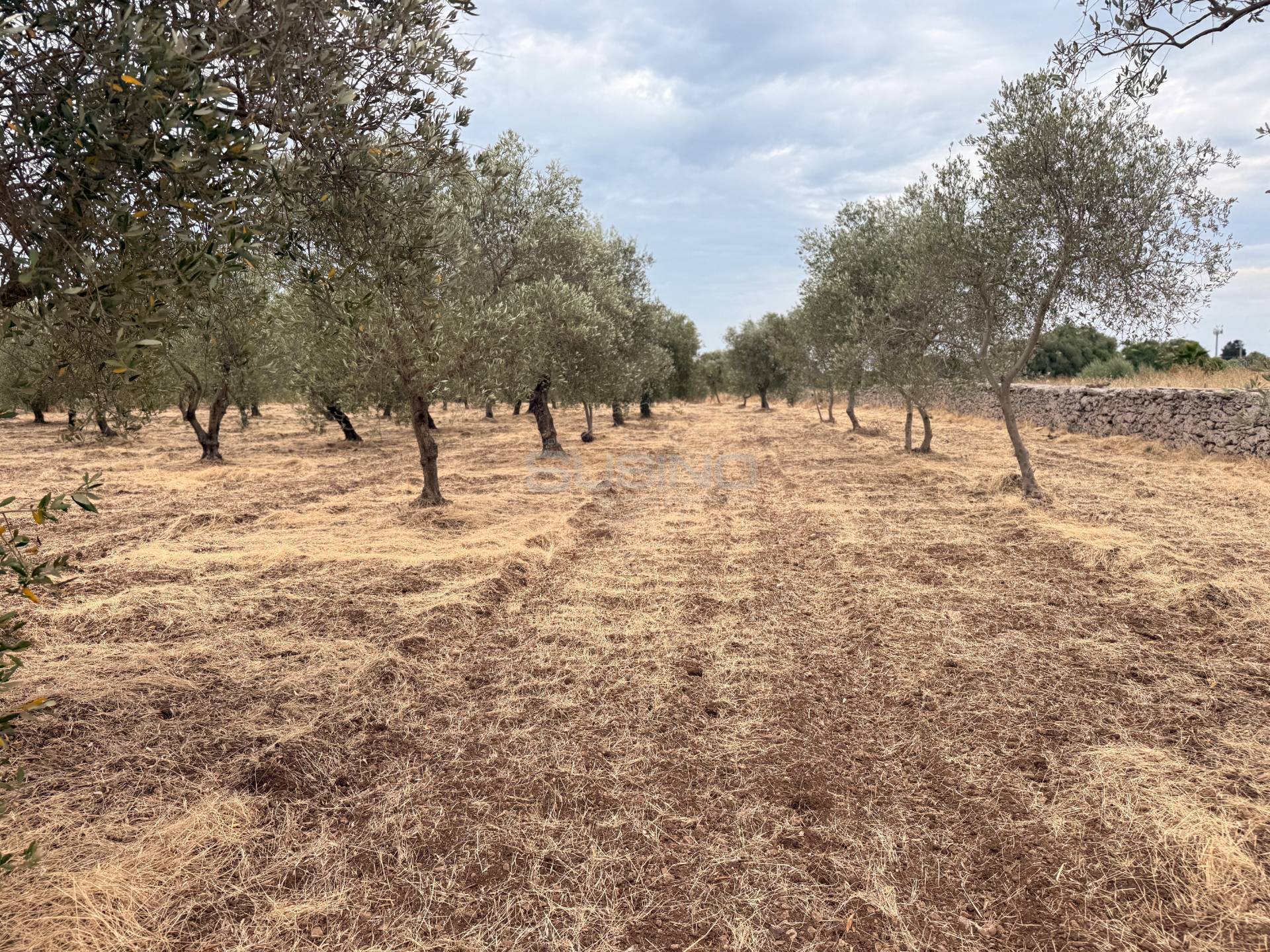 Terreno Agricolo in vendita a Siracusa, Elorina