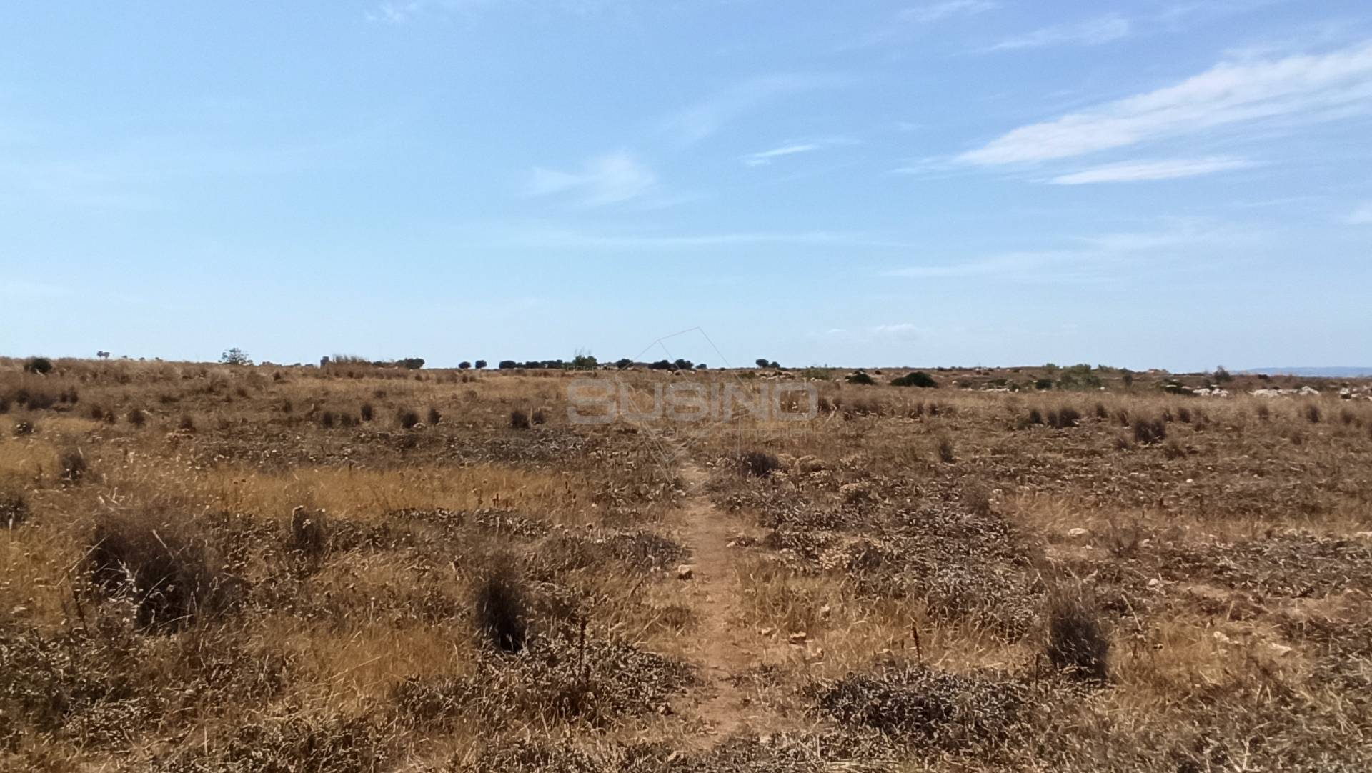 Terreno Agricolo in vendita a Pachino
