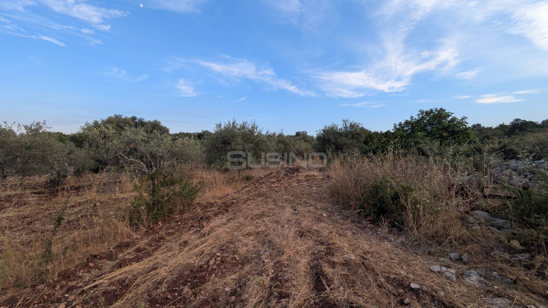 Terreno Agricolo in vendita a Floridia