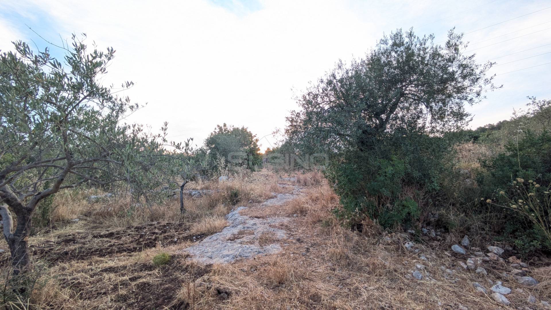 Terreno Agricolo in vendita a Floridia